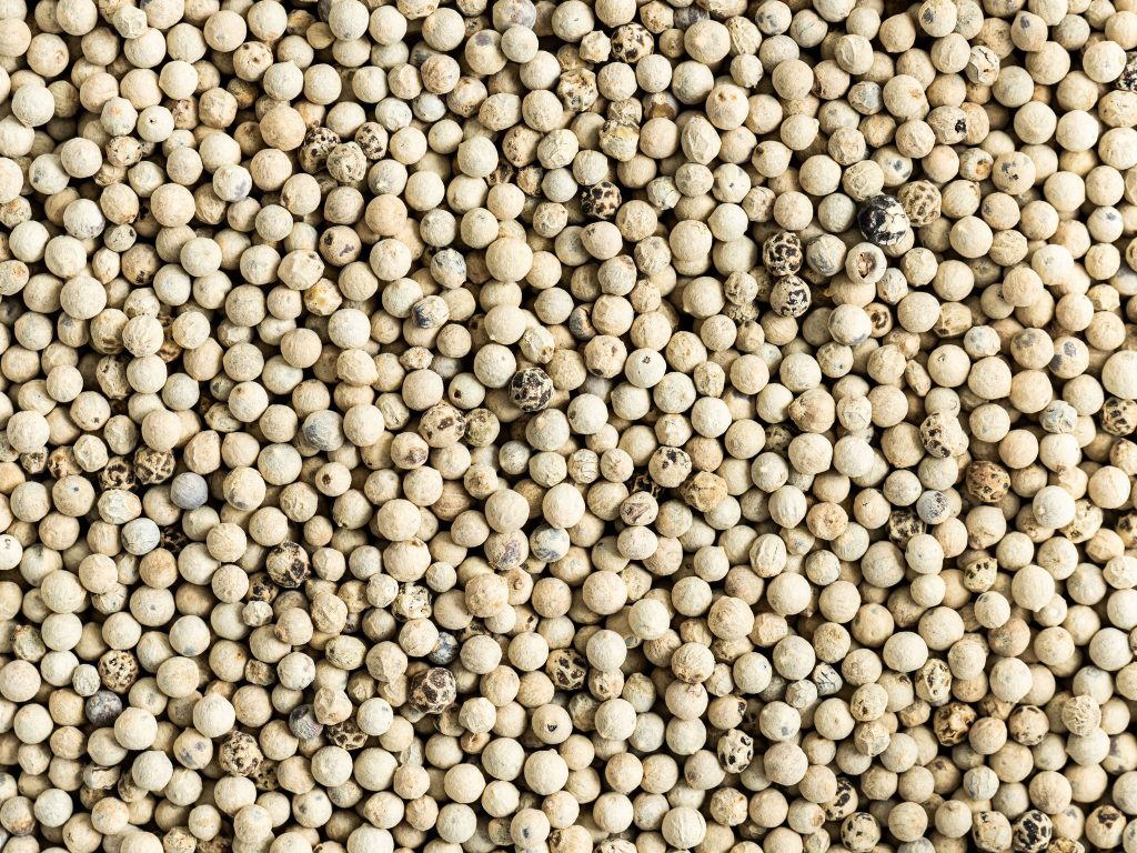 White pepper - 1 kg. فلفل أبيض 1 كيلو