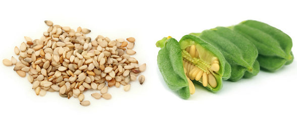 SimsimSesame