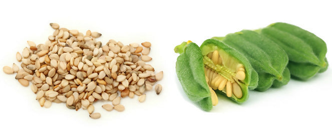 SimsimSesame