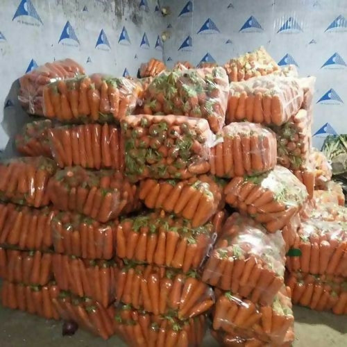 carrotwarehouse1