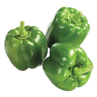 Fresh Iranian Green Capsicum - الفليفلة الخضراء الإيرانية الطازجة
