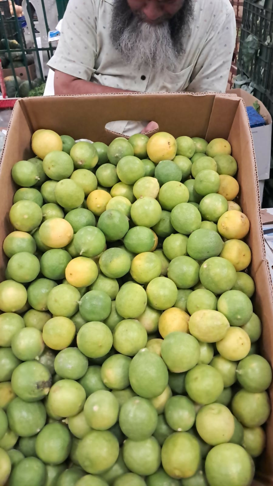 lemonalfa