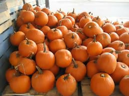 pumpkin2