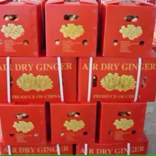 ginger4