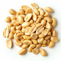 organic-roasted-and-salted-peanuts