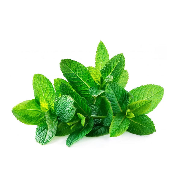 mint1