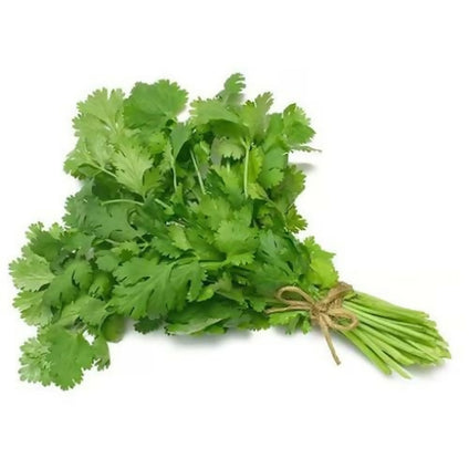 Omani Coriander Leafs Wholesales 1kg. كزبرة عمانية بالجملة 1 كيلو