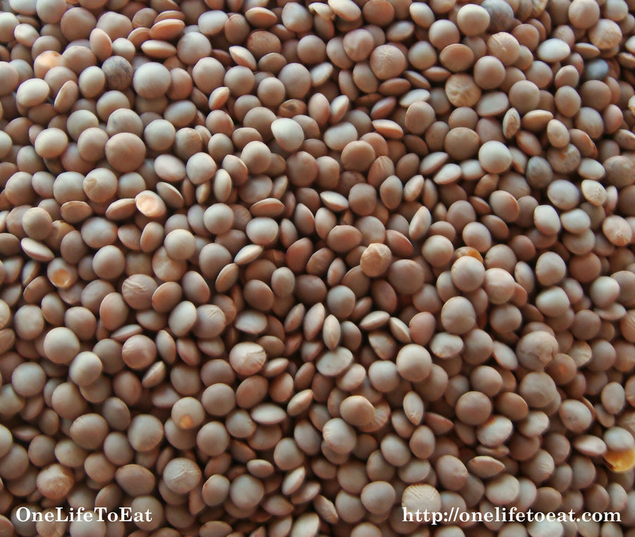 brown-lentil-masoor-dal