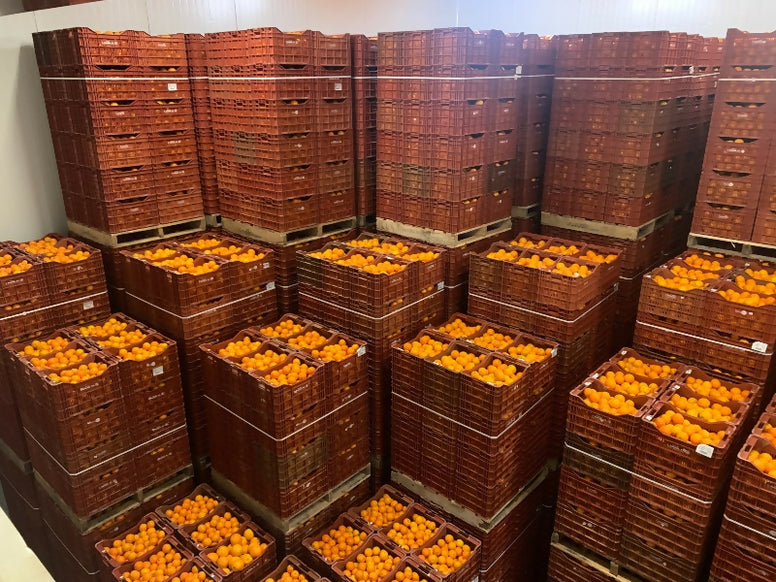 orangewarehouse