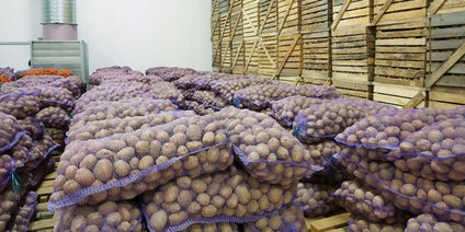 Potatoes Iran Wholesales 1kg. بطاطس إيراني جملة 1 كيلو
