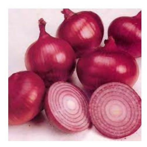 lxR9XeiudM