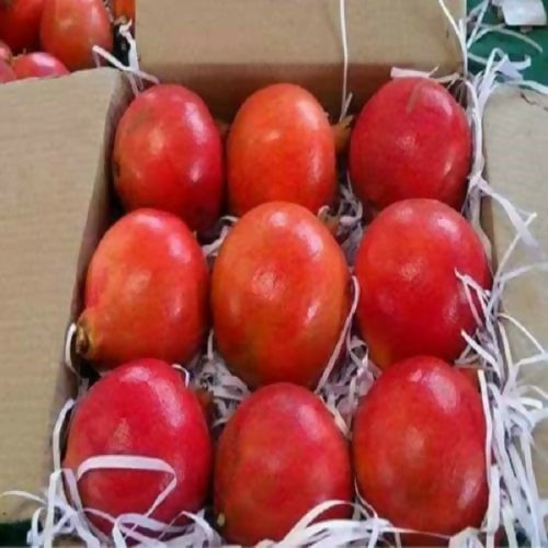 pomebulk3