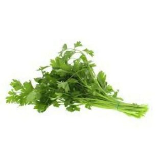 Fresh Parsley (Bakdounees) Wholesales 1kg. بقدونس طازج بالجملة 1 كجم