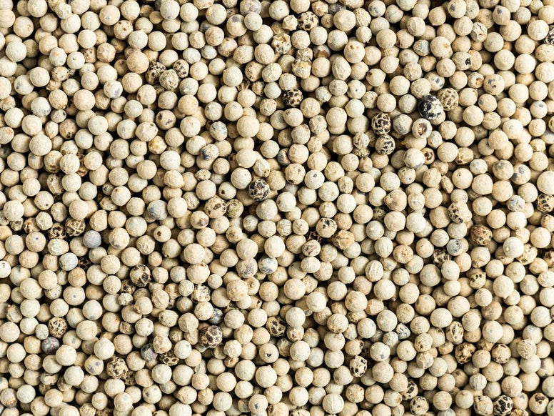 White pepper - 1 kg. فلفل أبيض 1 كيلو