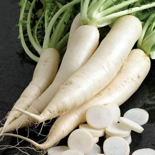 White Radish (Mooli) Wholesales 1kg. فجل أبيض طازج