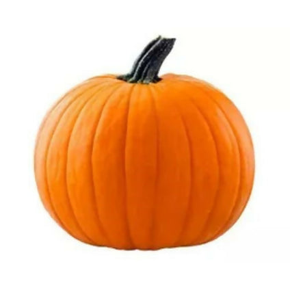Fresh Pumpkin Ash Iran Wholesales 1kg. يقطين (قرع) رمادي إيراني طازج بالجملة 1 كيلو